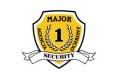 major_300