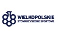 wss_300